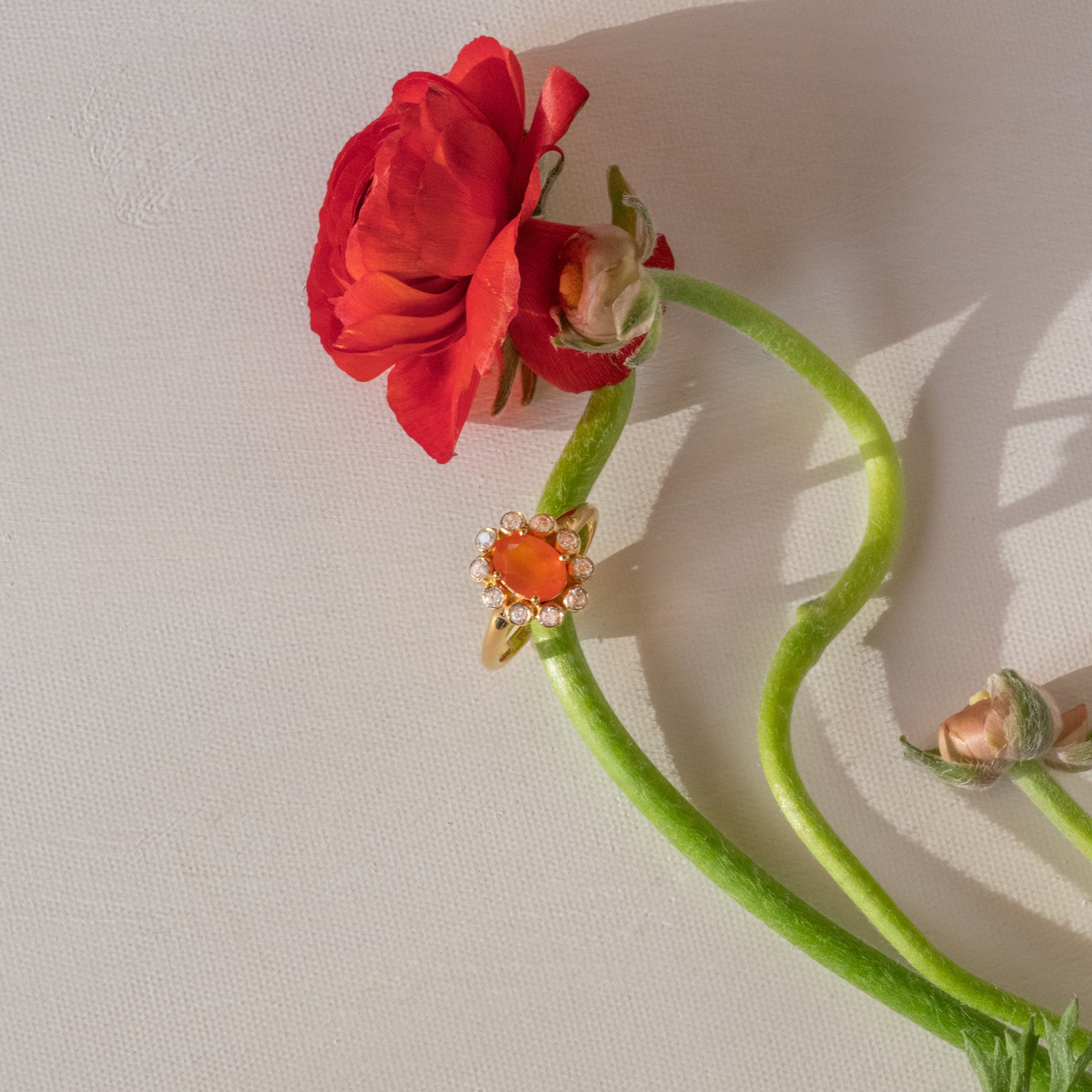 Carnelian Ring - Blossom