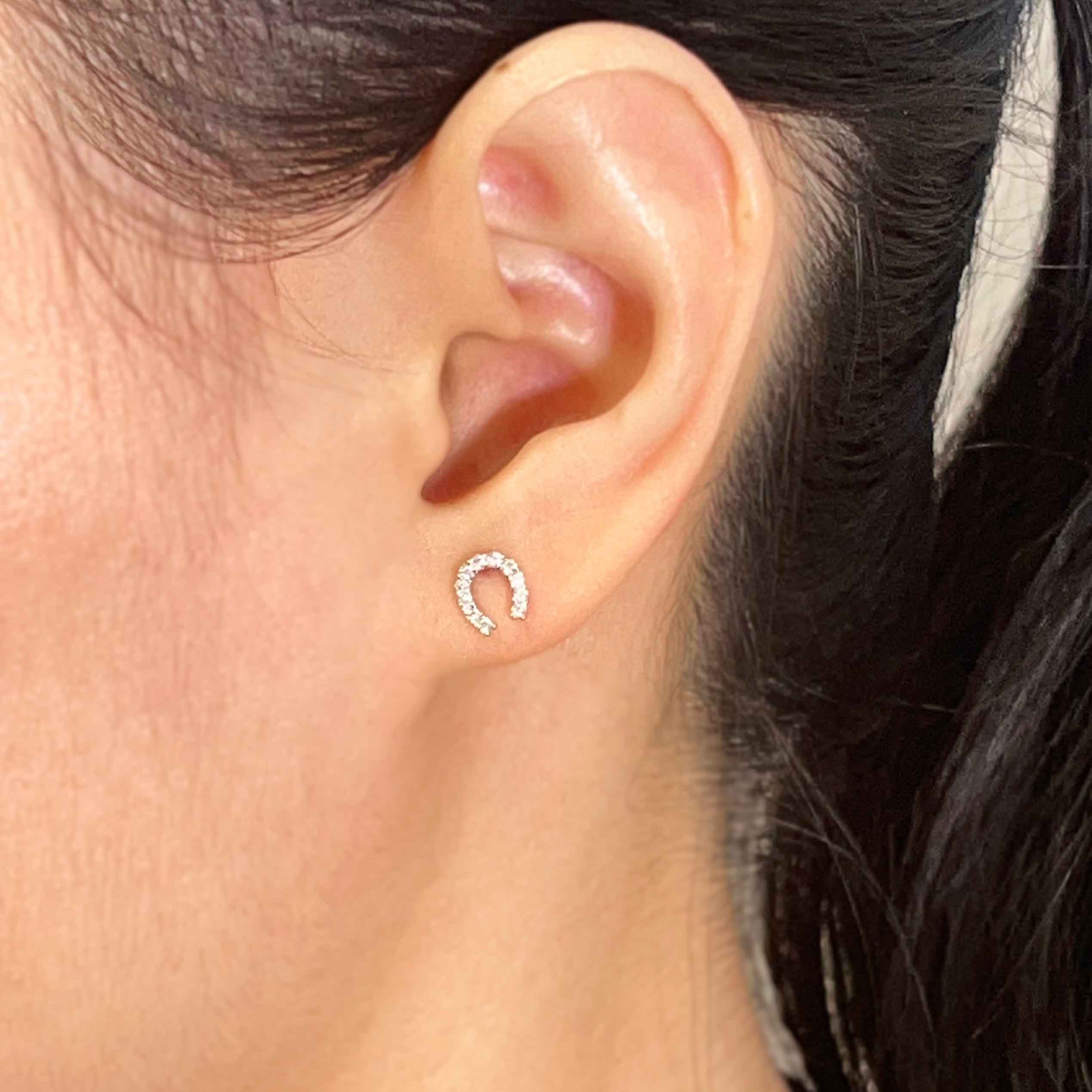 Horseshoe Earrings