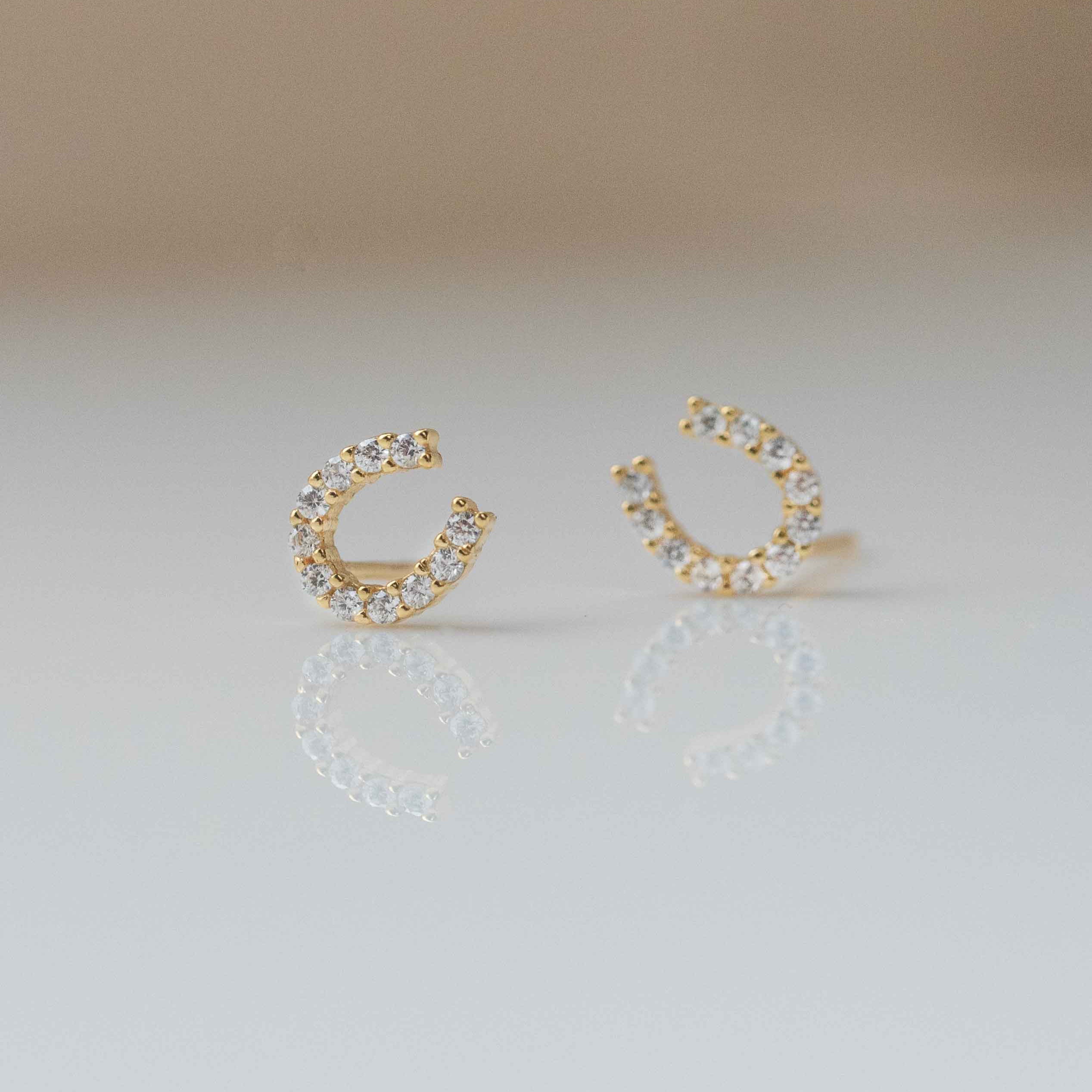 Horseshoe Earrings
