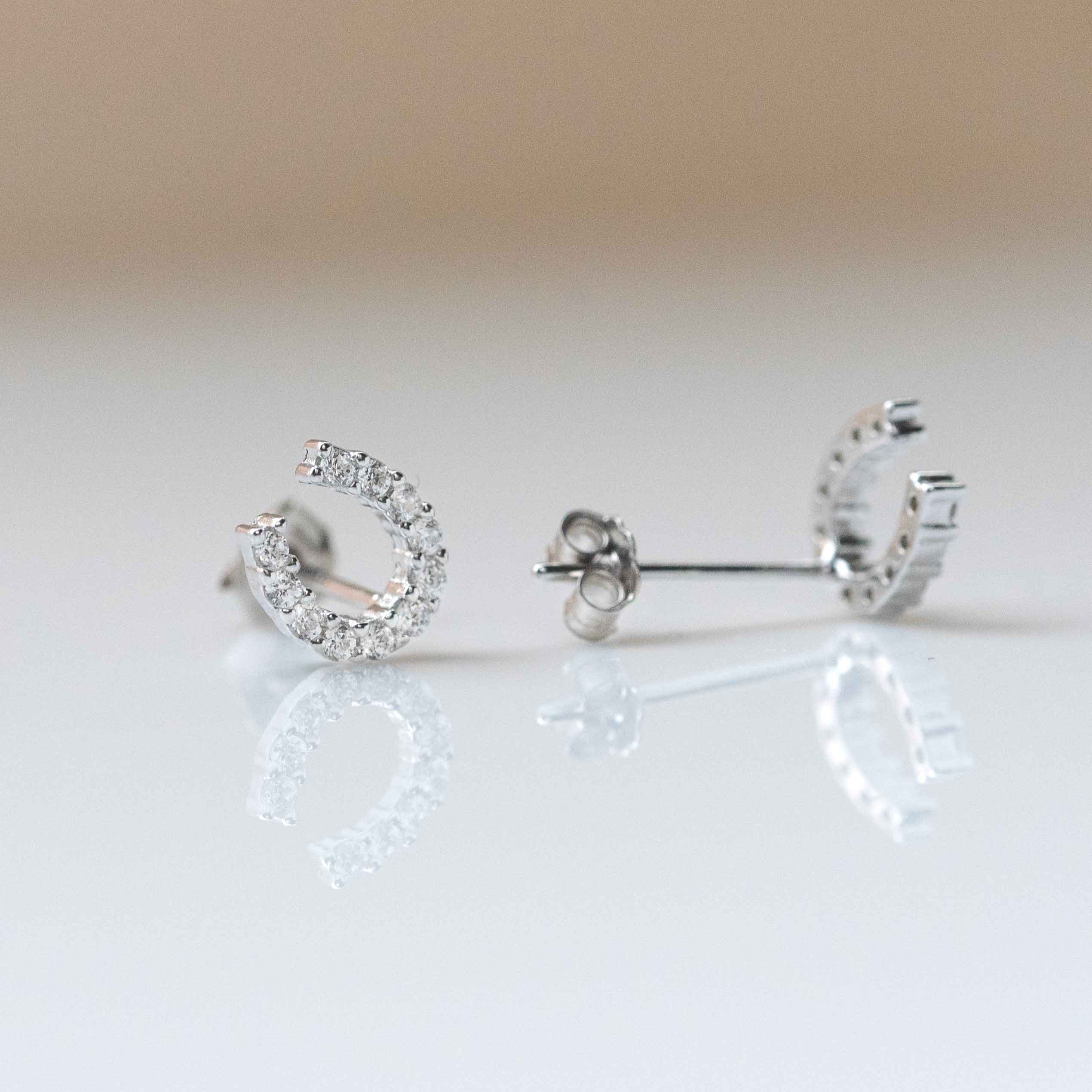 Horseshoe Earrings