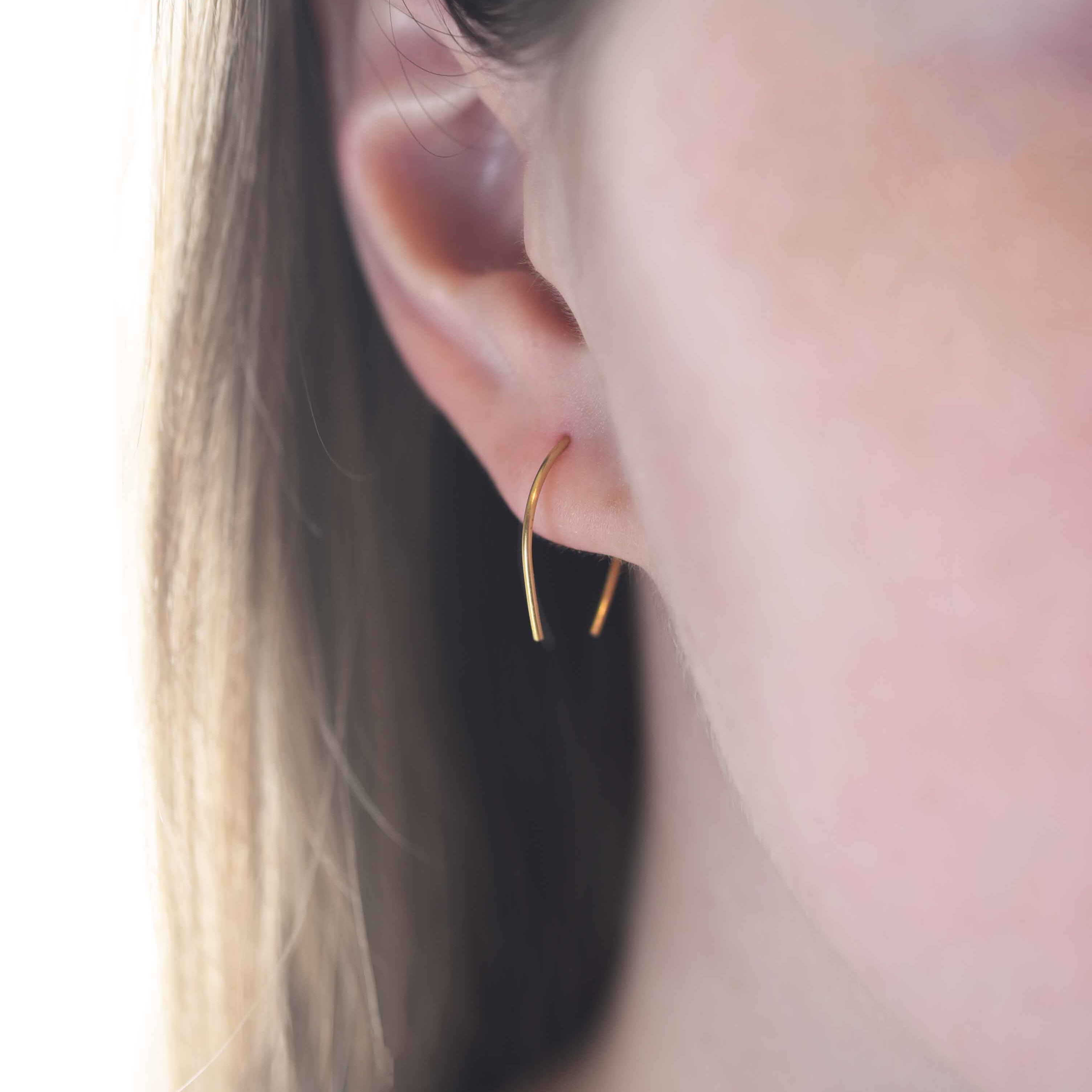 Horseshoe earrings, pay it forward earrings veatge