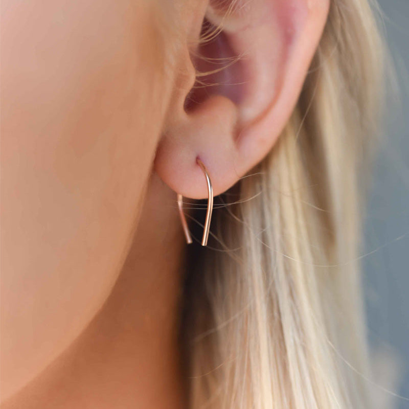 Horseshoe earrings, pay it forward earrings veatge