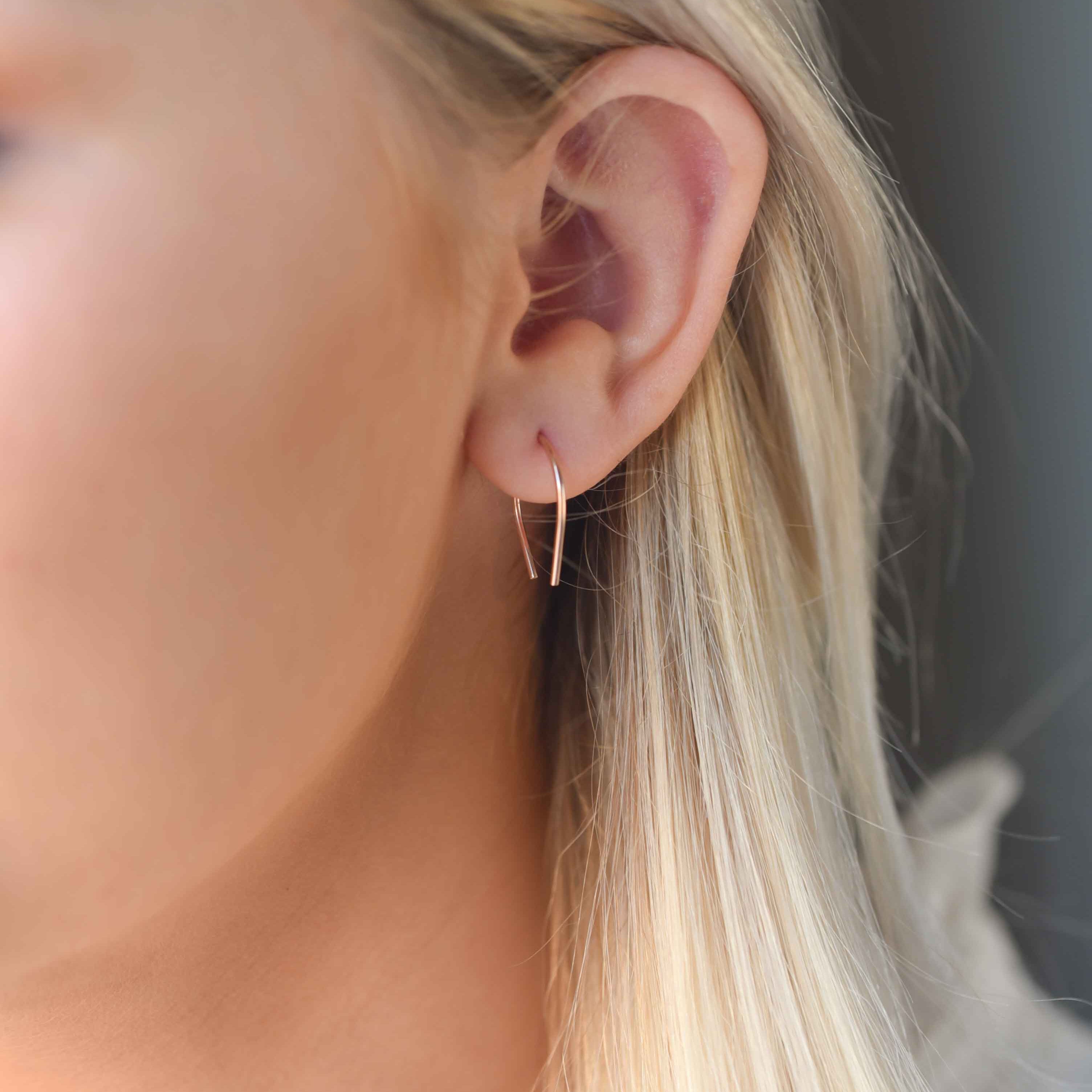 Horseshoe earrings, pay it forward earrings veatge