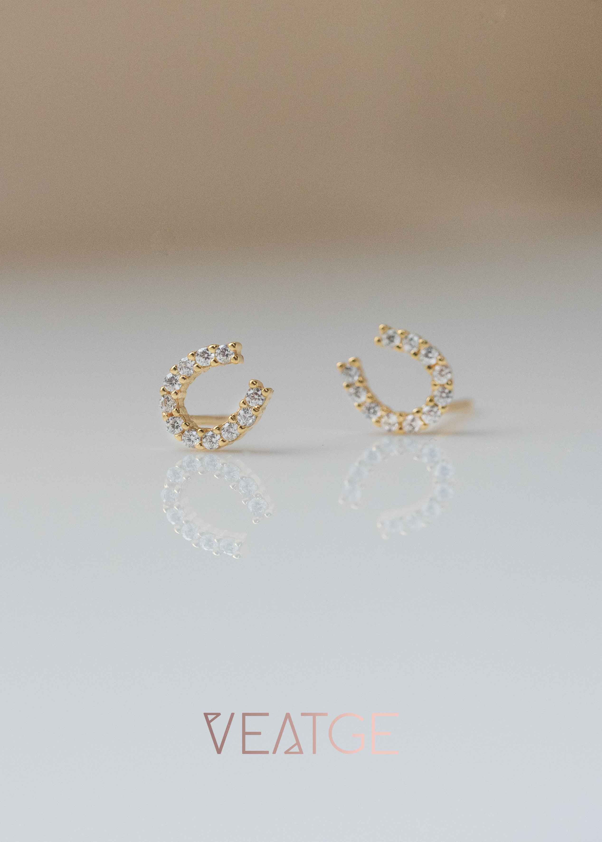 Horseshoe Earrings