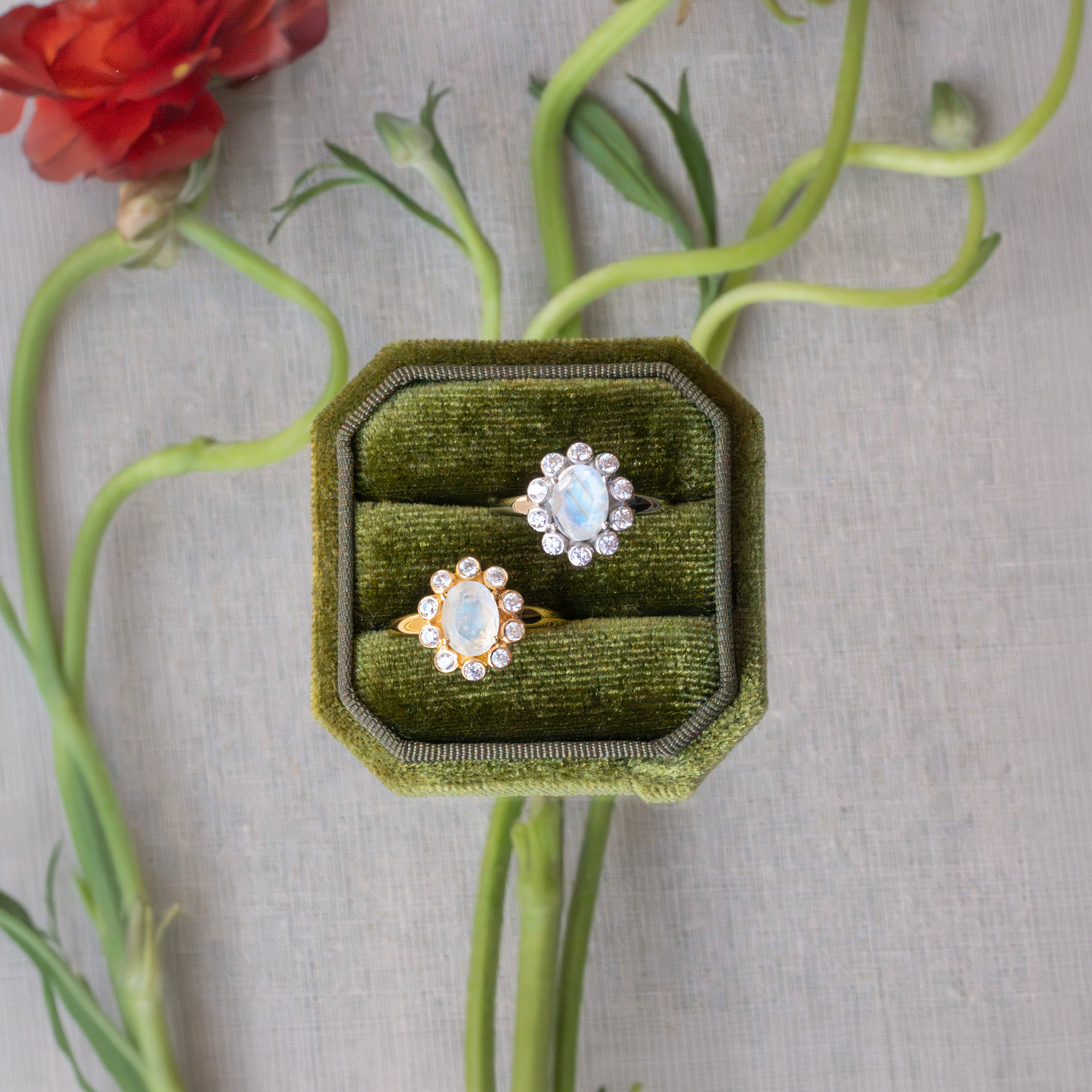 Moonstone Ring - Blossom