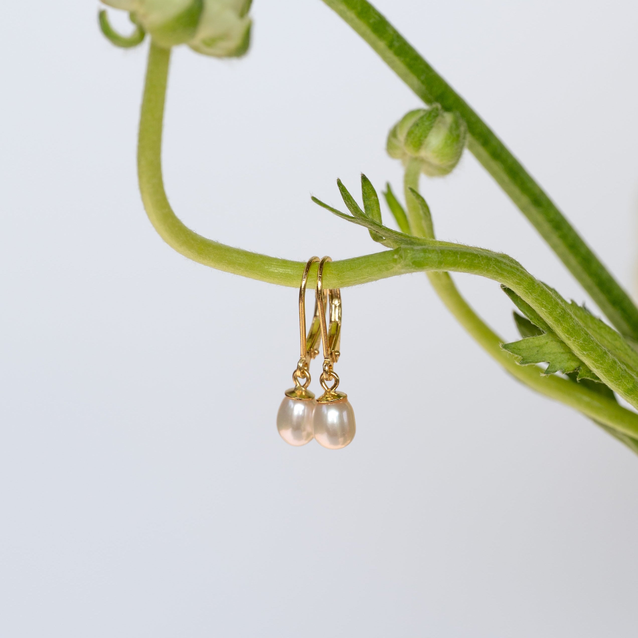 Pearl Teardrop Earrings